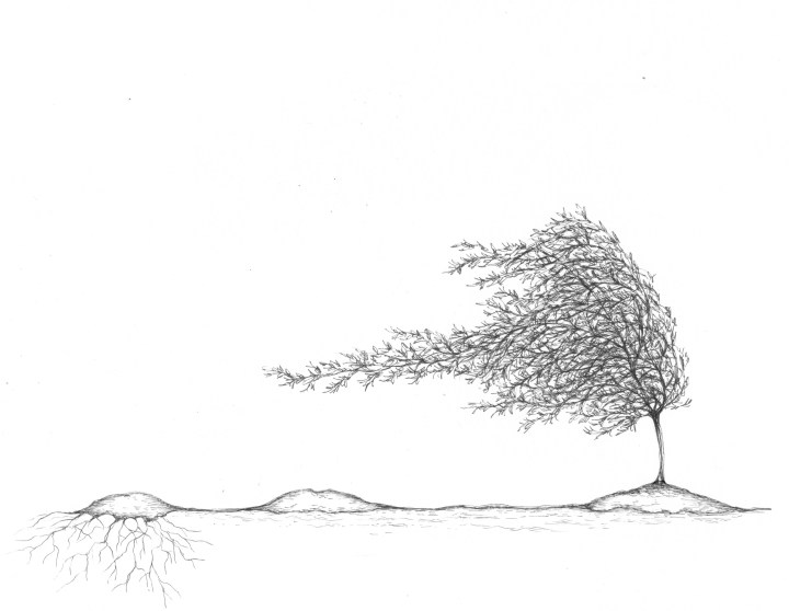 Hilde - Ilustración 2