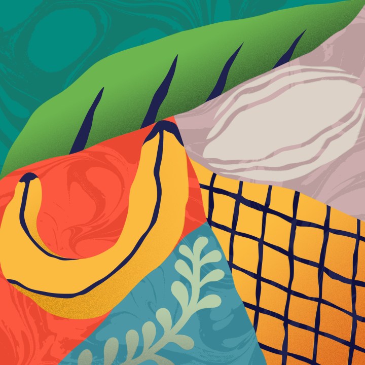 Silva a la desventuras en la zona sórdida; Harry&nbsp;Almela