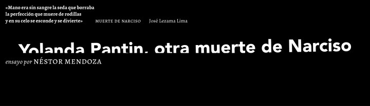Yolanda Pantin, otra muerte de Narciso ǀ     Por Néstor&nbsp;Mendoza